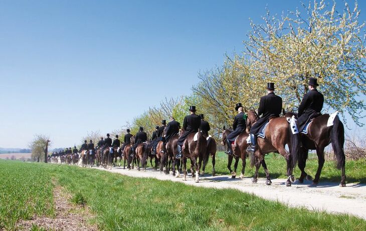 Reitergruppe in traditioneller Kleidung auf einem Weg im Frühling.