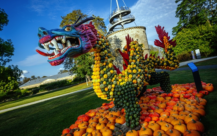 Drachenstatue aus Kürbissen auf Rasen im Freien vor historischem Gebäude.