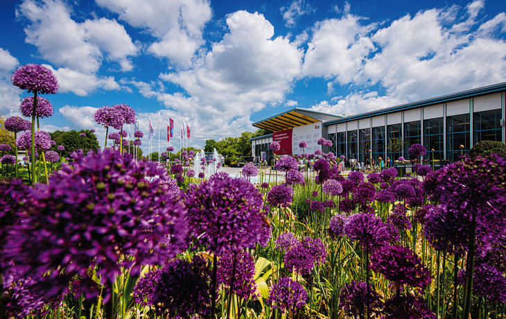 Pflanzenausstellung mit lila Blüten im Beet vor einem modernen Gebäude.
