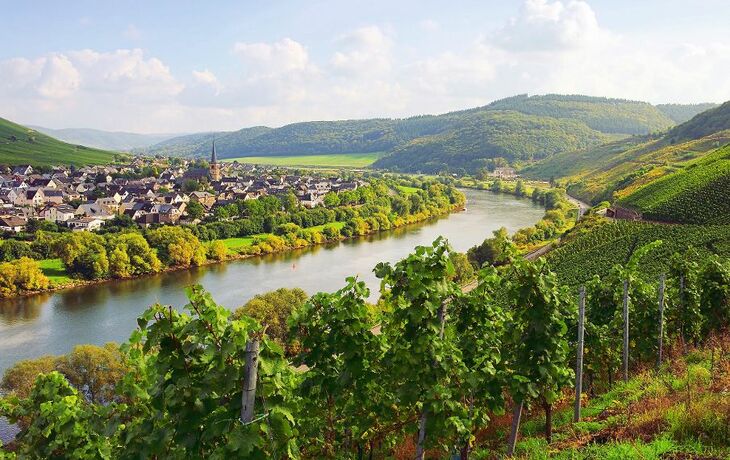 Flusslandschaft mit Weinbergen und einem Dorf im Hintergrund.