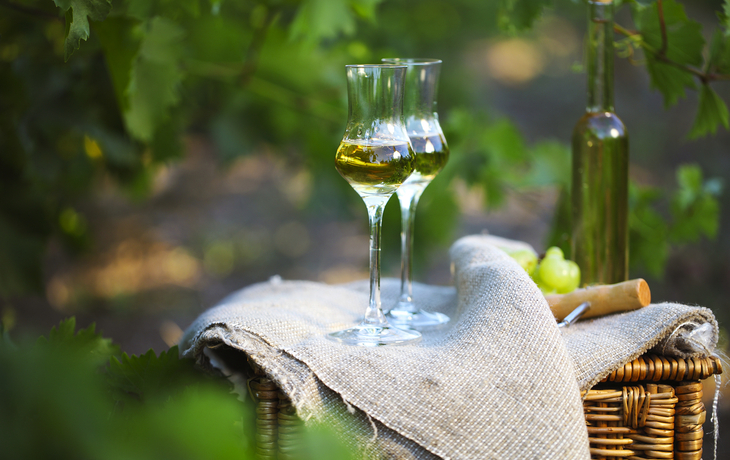 Flasche Grappa und Gläser mit Weintrauben auf einem Picknickkorb im Garten.