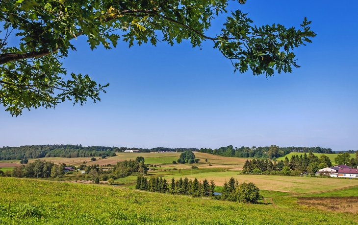 Kaschubei© Fotokon - stock.adobe.com Landschaft mit grünen Feldern, Bäumen und blauem Himmel.