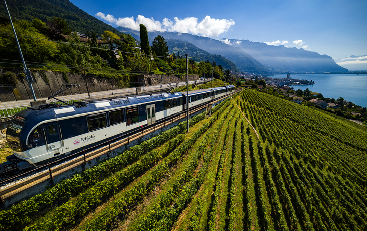 Ein Panoramazug fährt durch Weinberge mit Blick auf den Genfer See.