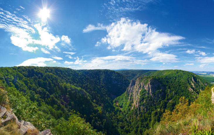 Blick auf bewaldete Felsen und Täler im Harz bei sonnigem Wetter.