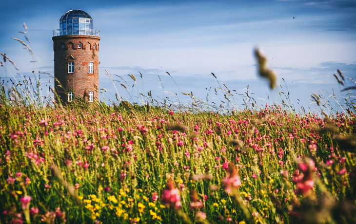 Wiese mit Wildblumen vor dem Peilturm am Kap Arkona auf Rügen.