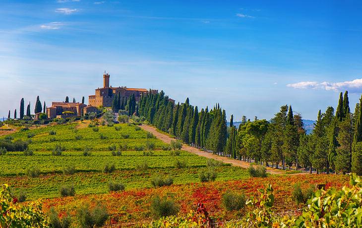 Zypressen gesäumter Weg führt zu einem Hügel mit italienischem Schloss und blauen Himmel.