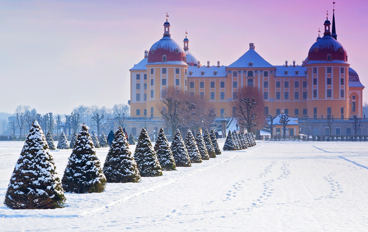 Schloss Moritzburg im Winter mit Schnee und Tannen, nahe Dresden.