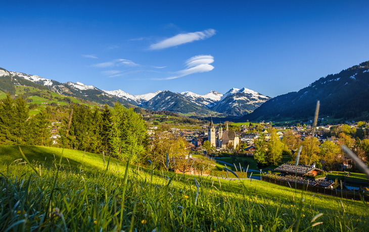 Grüne Wiese mit Blick auf ein Dorf und schneebedeckte Berge im Hintergrund.