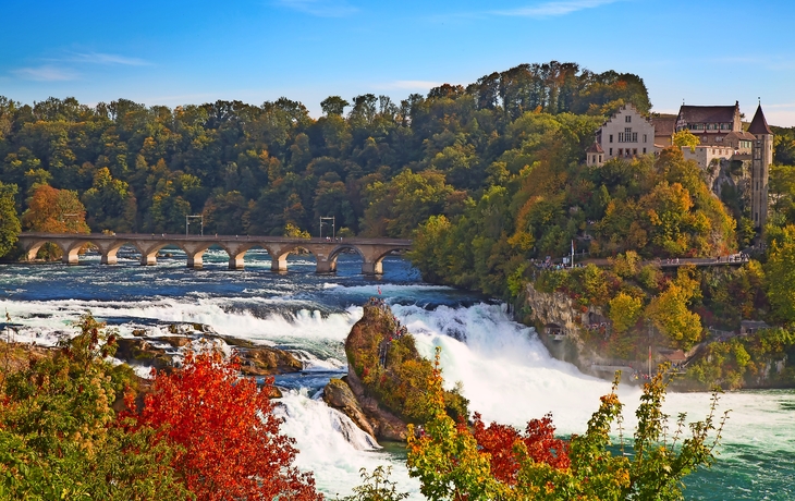 Rheinfall mit Brücke und Schloss im Herbst, bunte Bäume im Vordergrund.