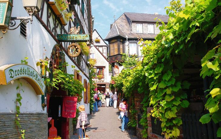 Schmale Gasse mit Fachwerkhäusern, Menschen und Weinlauben in der Drosselgasse, Rüdesheim.