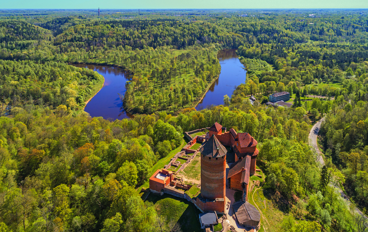 Luftaufnahme einer mittelalterlichen Burg in einer grünen Landschaft mit Fluss.