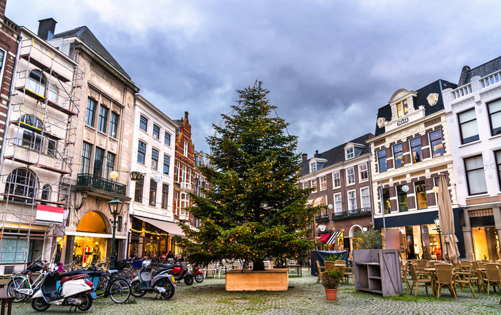 Weihnachtsbaum auf einem Weihnachtsmarkt in Den Haag im Winter.