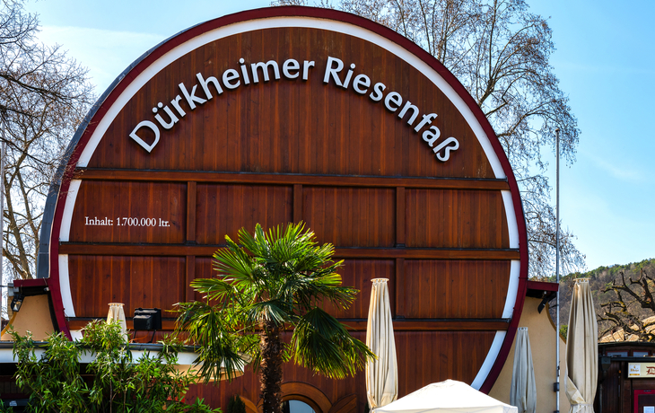 Dürkheimer Riesenfass mit Pflanzen und Sonnenschirmen im Vordergrund.