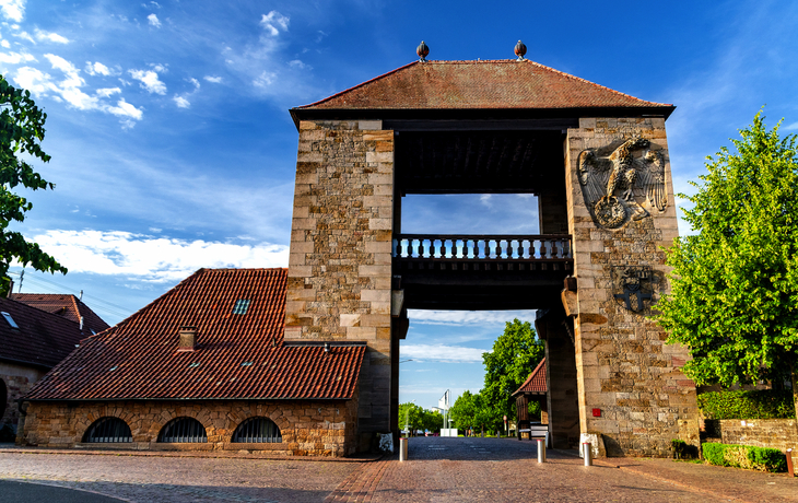 Historisches Tor mit Steinmauer, blauem Himmel und Bäumen im Hintergrund.
