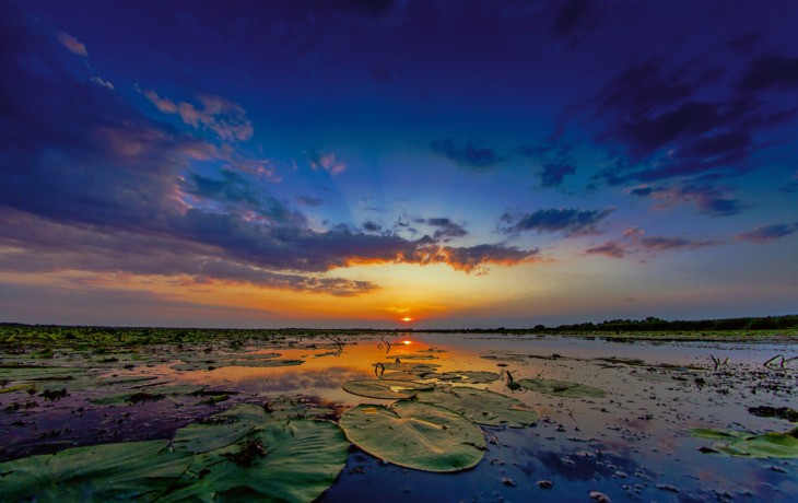 Sonnenuntergang über einem See mit Seerosenblättern und farbenfrohem Himmel.