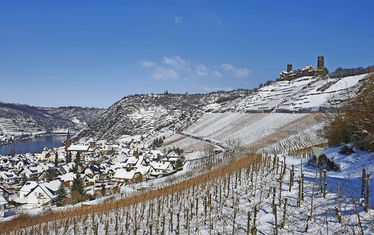 Verschneite Weinberge und Burgruine an einem Fluss im Winter.
