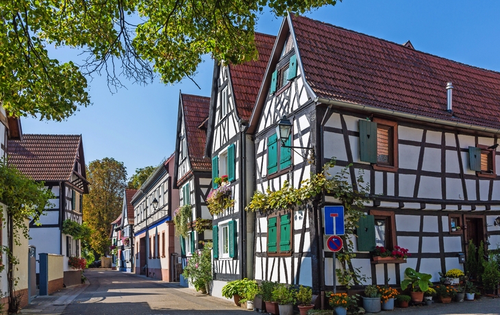 Fachwerkhäuser in enger, sonniger Gasse mit Pflanzen und Bäumen.