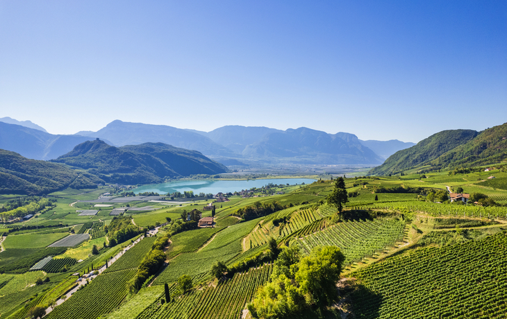Weinberge mit Blick auf einen See und Berge im Hintergrund bei klarem Himmel.