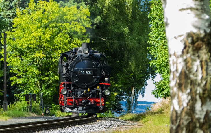 Zittauer Schmalspurbahn fährt durch grüne Landschaft in Jonsdorf, Sachsen.
