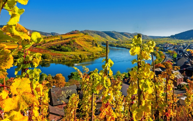 Weinberge im Herbst mit Blick auf einen Fluss in einer hügeligen Landschaft