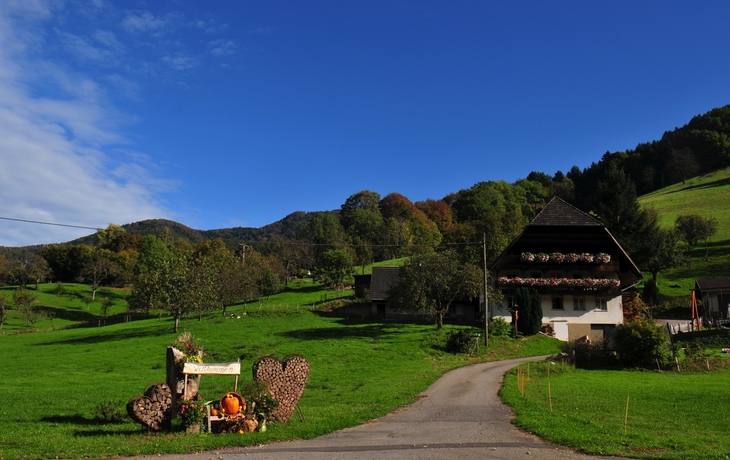 Typisches Schwarzwaldhaus im Hochschwarzwald mit grüner Landschaft.