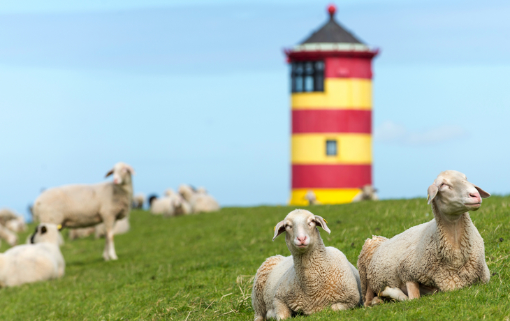 Schafe liegen auf einer Wiese, im Hintergrund steht ein rot-gelber Leuchtturm.